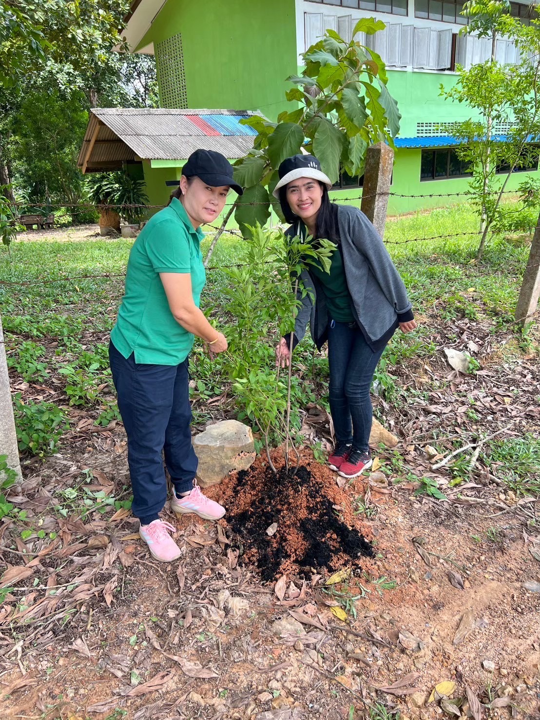 โครงการปลูกต้นไม้ข้างทางสายหลักที่สาธารณะหัวไร่ปลายสวนครอบคลุม 13 หมู่บ้าน 
10 กันยายน 2567
