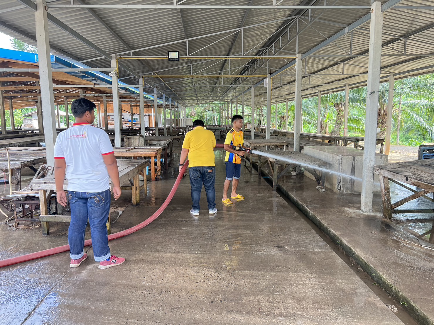 ล้างตลาดลดแหล่งสะสมเชื้อโรค
